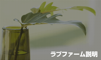 ラブファーム説明